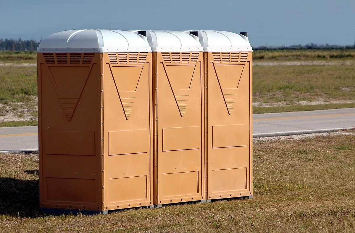 Vers dans les toilettes après absence : l'explication