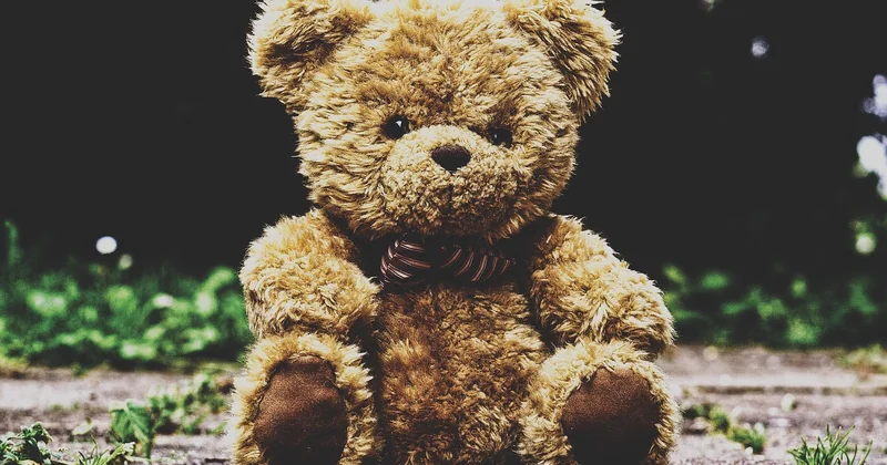 Tableau comparatif : quelle « maison ours » cherchez-vous ?
